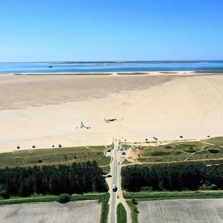 0362-romo-skovskaden-17 Molby