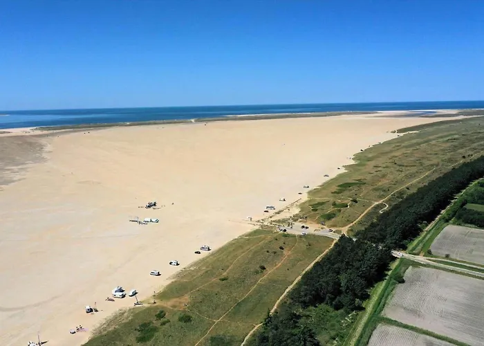 0362-romo-skovskaden-17 *